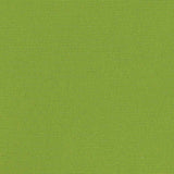 Sunbrella Canvas Macaw 5429 - 0000 Elements Collection Upholstery Fabric
