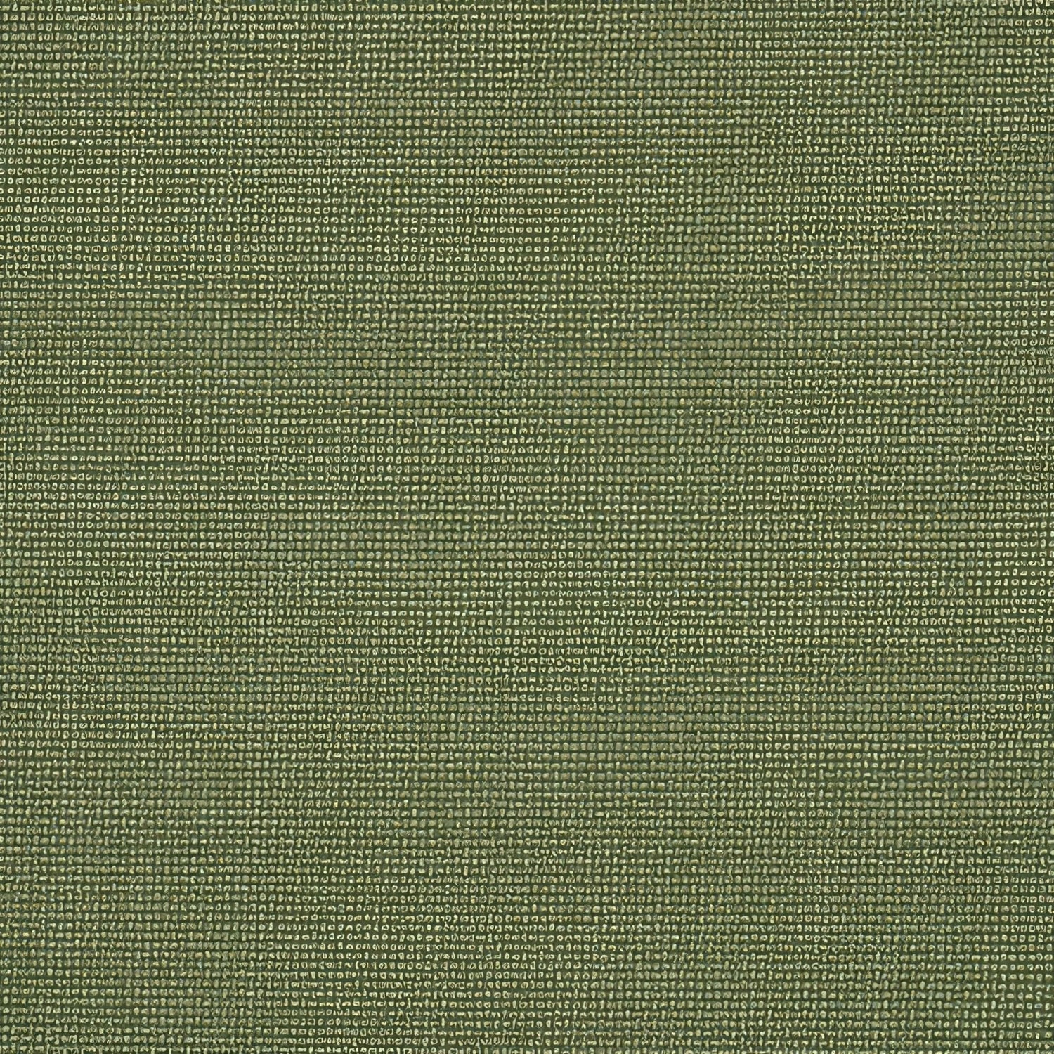 Sunbrella Bliss Aloe 48135 - 0017 Perspectives Collection Upholstery Fabric