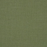 Sunbrella Bliss Aloe 48135 - 0017 Perspectives Collection Upholstery Fabric