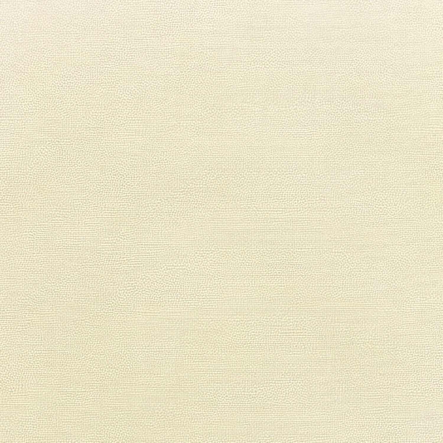 Sunbrella Canvas Canvas 5453 - 0000 Elements Collection Upholstery Fabric