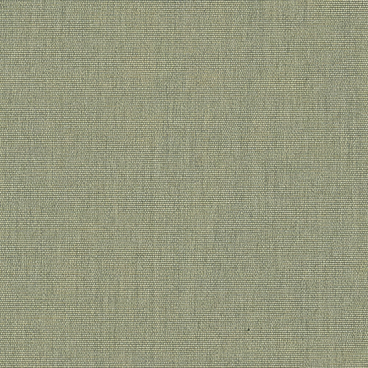 Sunbrella Canvas Almond SJA 3983 137 Bahia European Collection Upholstery Fabric