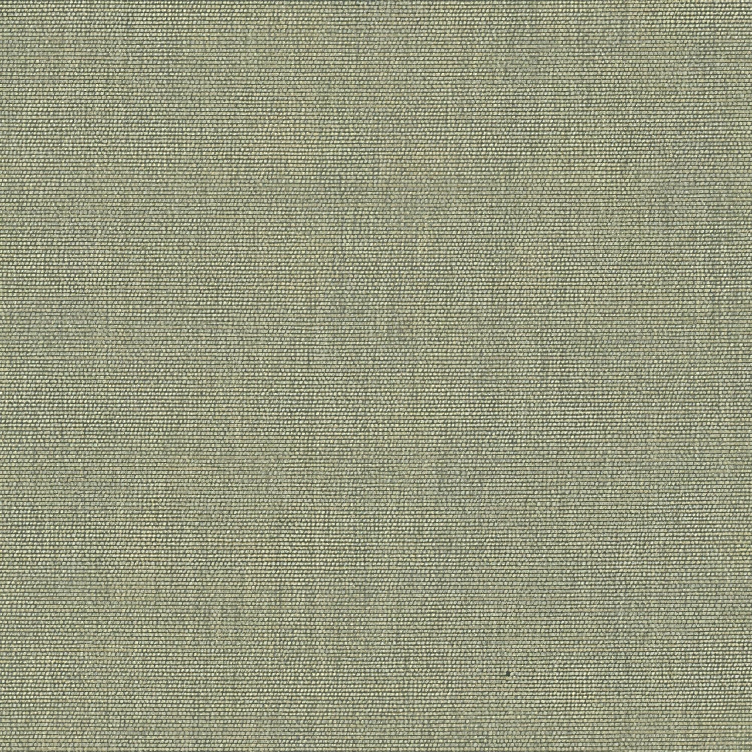 Sunbrella Canvas Almond SJA 3983 137 Bahia European Collection Upholstery Fabric