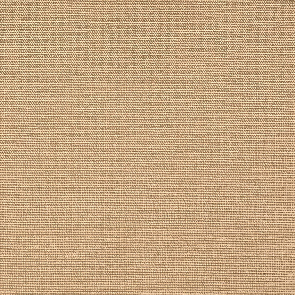 Sunbrella Play Camel 40616 - 0003 Upholstery Fabric
