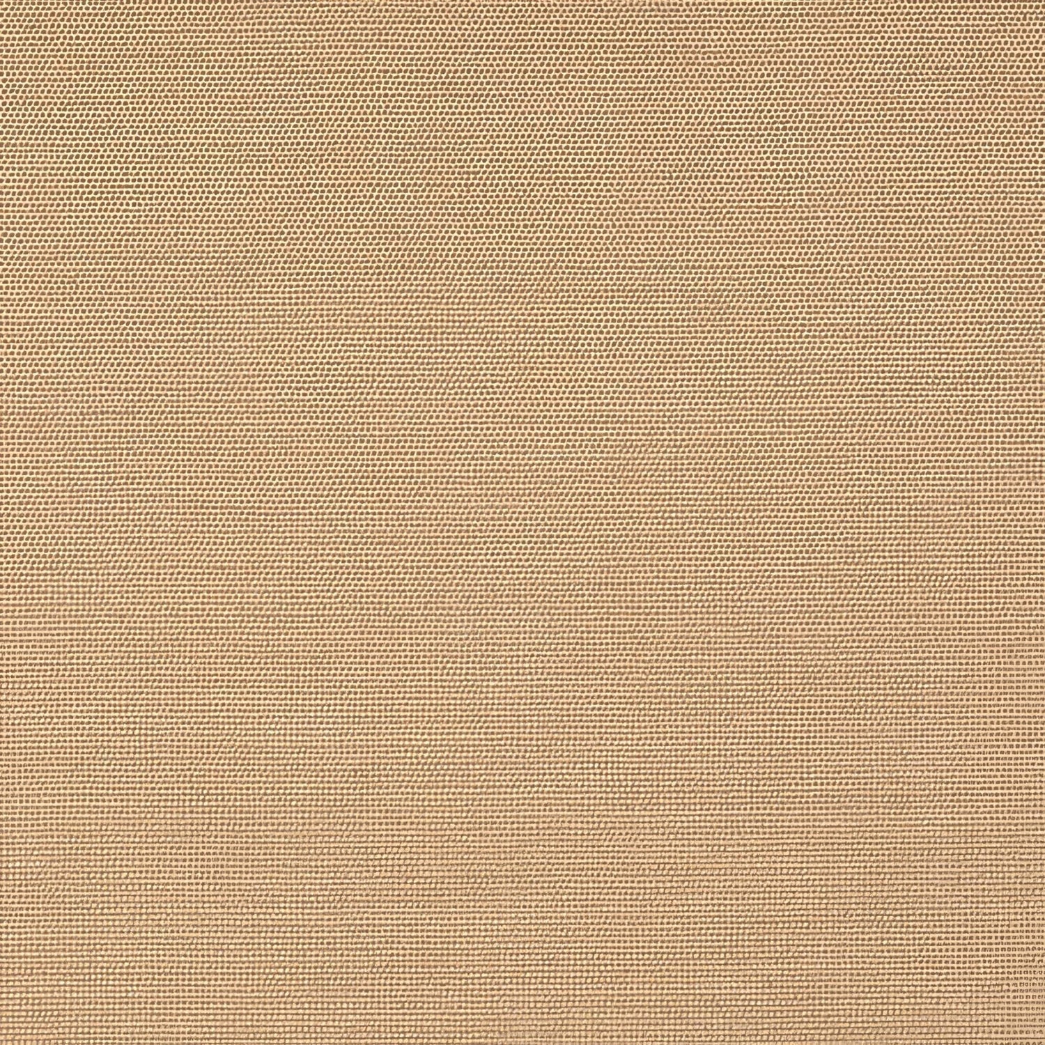 Sunbrella Play Camel 40616 - 0003 Upholstery Fabric