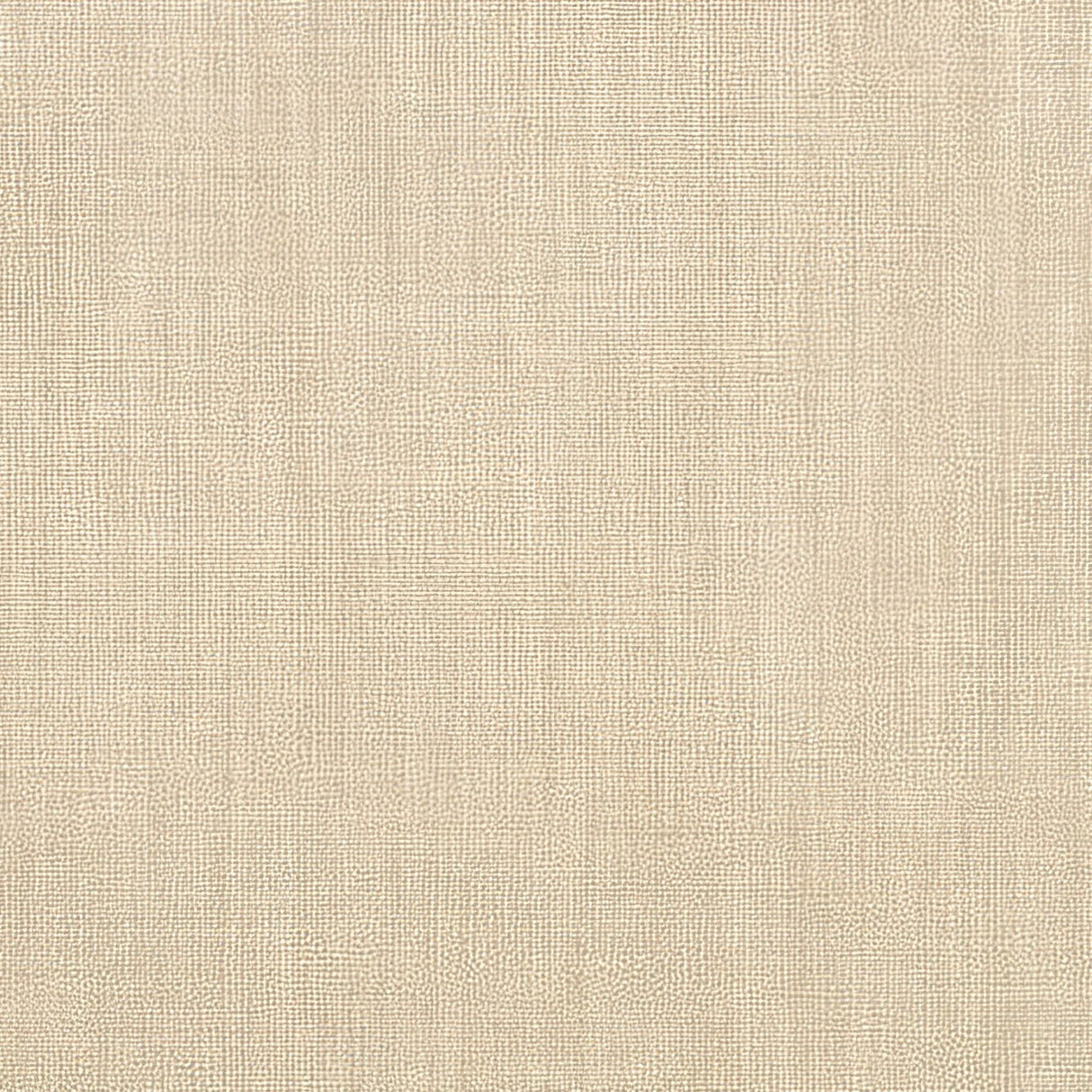 Sunbrella Canvas Flax 5492 - 0000 Elements Collection Upholstery Fabric
