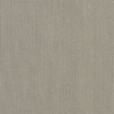 Sunbrella Spectrum Dove 48032 - 0000 Elements Collection Upholstery Fabric