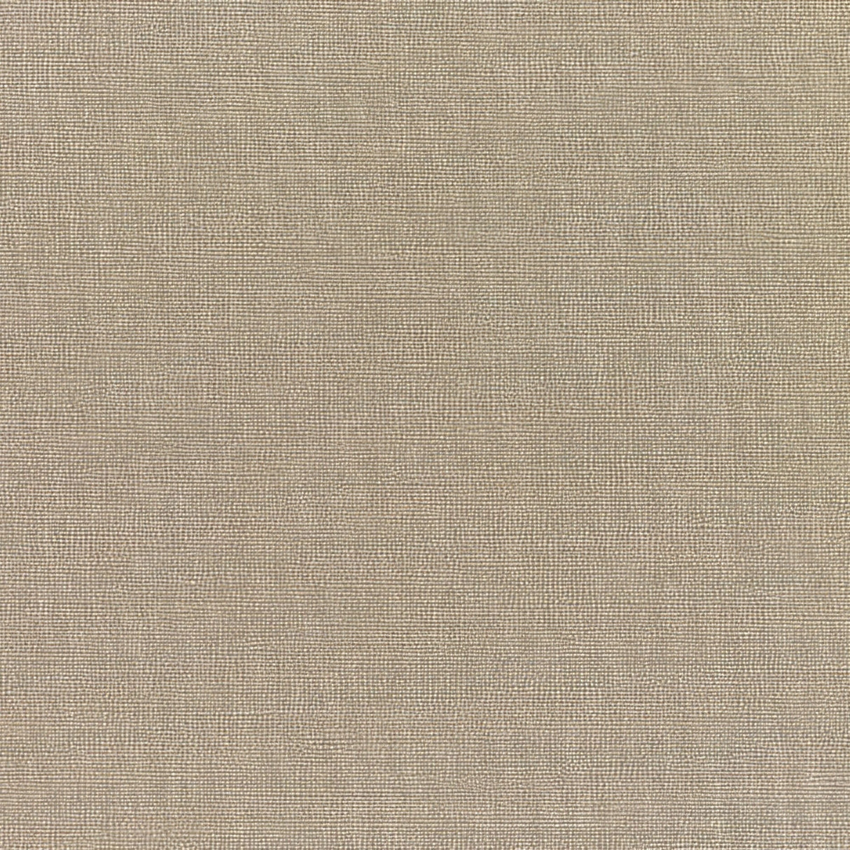 Sunbrella Canvas Taupe 5461 - 0000 Elements Collection Upholstery Fabric