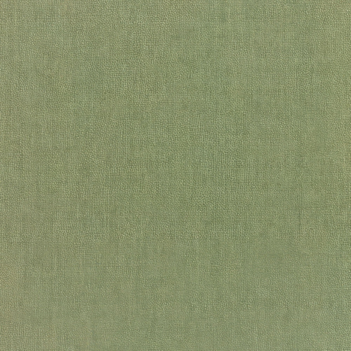 Sunbrella Canvas Fern 5487 - 0000 Elements Collection Upholstery Fabric