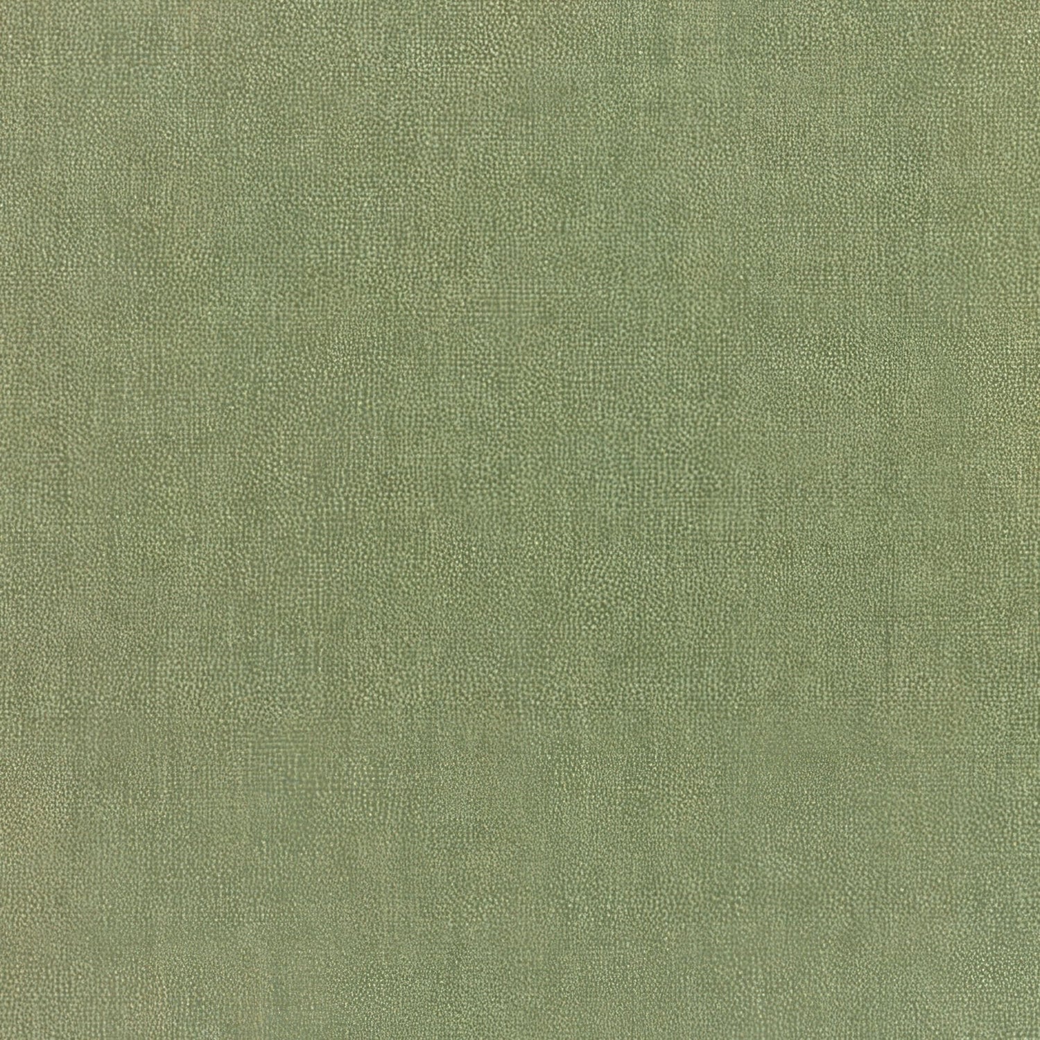 Sunbrella Canvas Fern 5487 - 0000 Elements Collection Upholstery Fabric