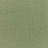 Sunbrella Canvas Fern 5487 - 0000 Elements Collection Upholstery Fabric