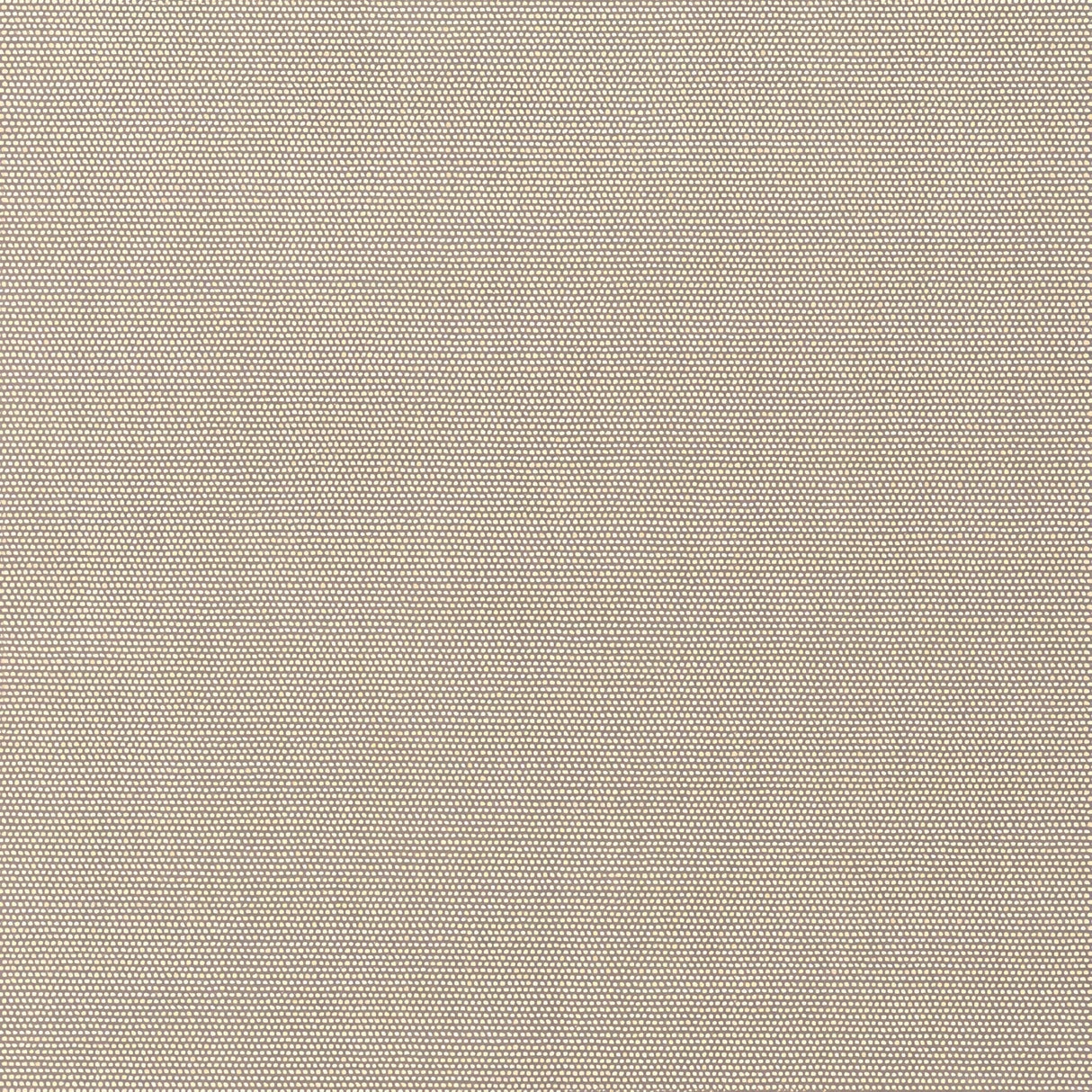 Sunbrella Play Oat 40616 - 0002 Upholstery Fabric