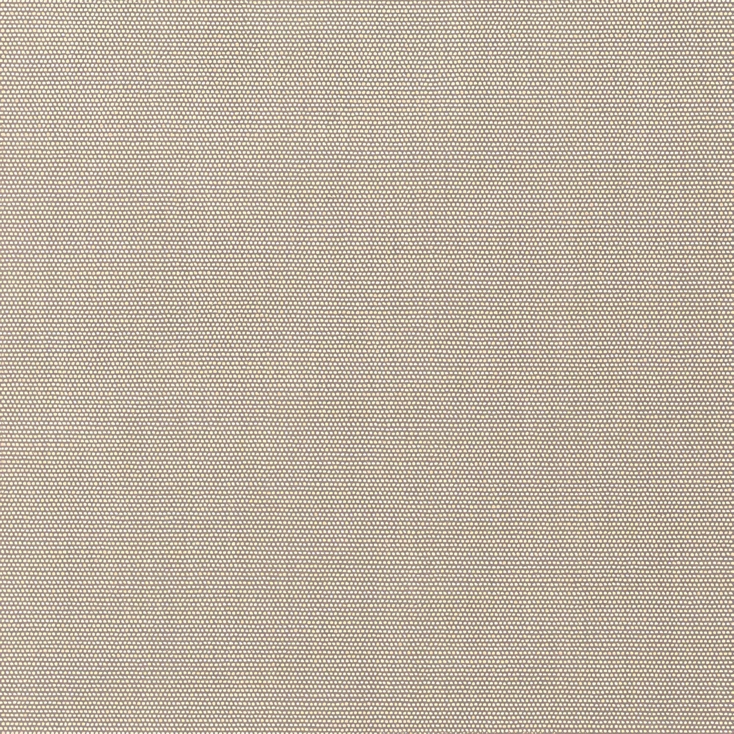 Sunbrella Play Oat 40616 - 0002 Upholstery Fabric