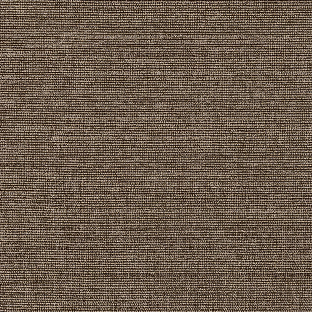 Sunbrella Play Mushroom 40616 - 0005 Upholstery Fabric