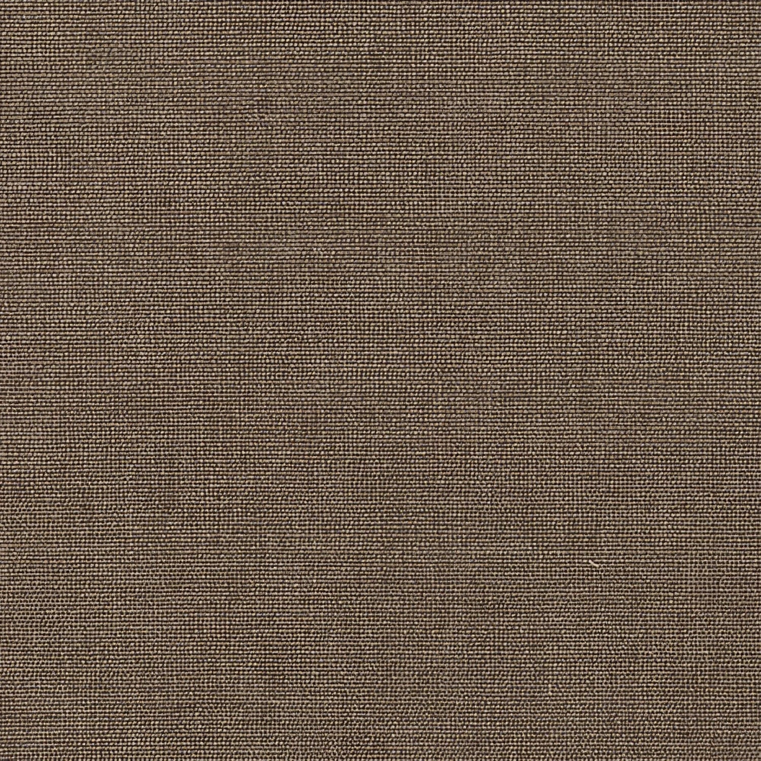 Sunbrella Play Mushroom 40616 - 0005 Upholstery Fabric