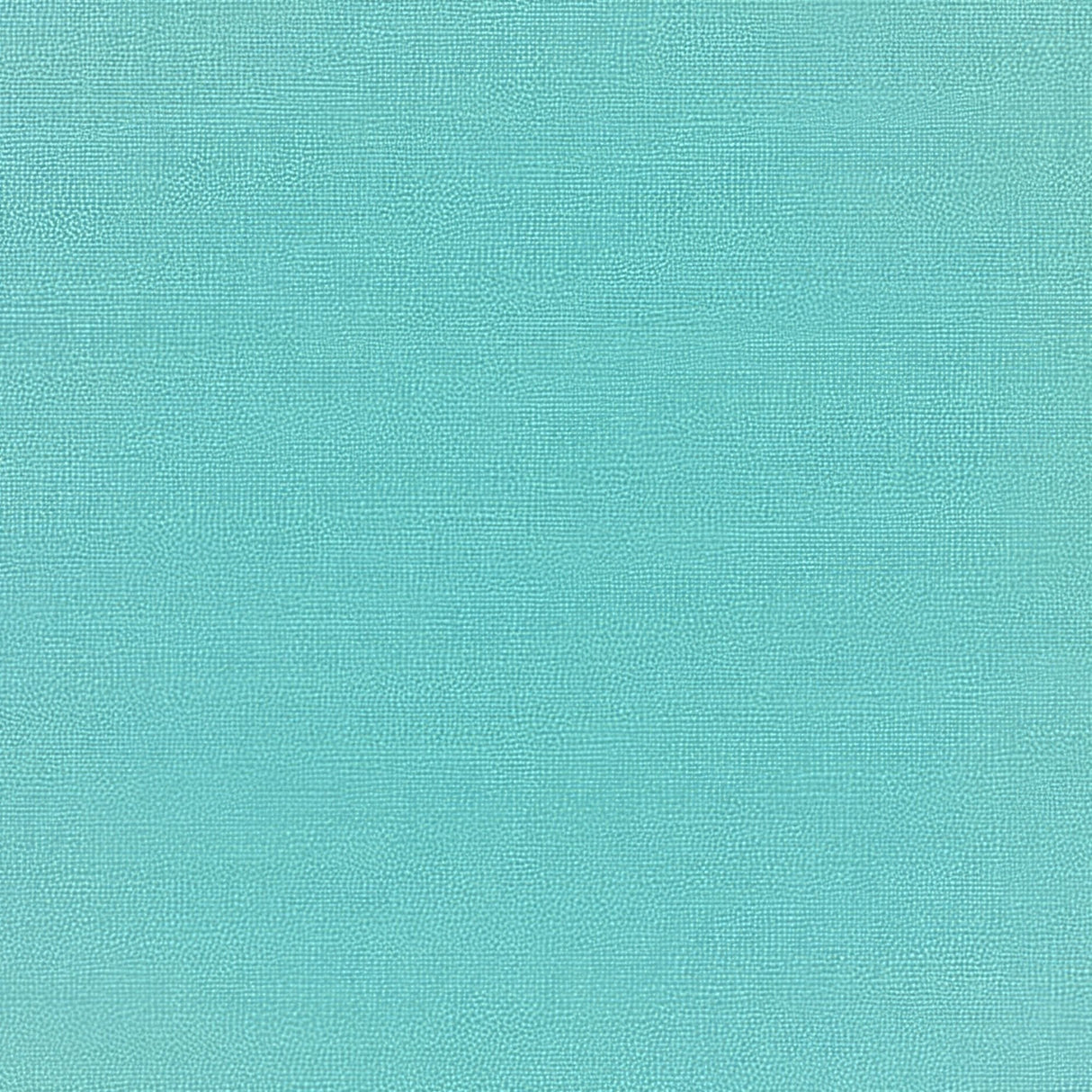 Sunbrella Canvas Aruba 5416 - 0000 Elements Collection Upholstery Fabric