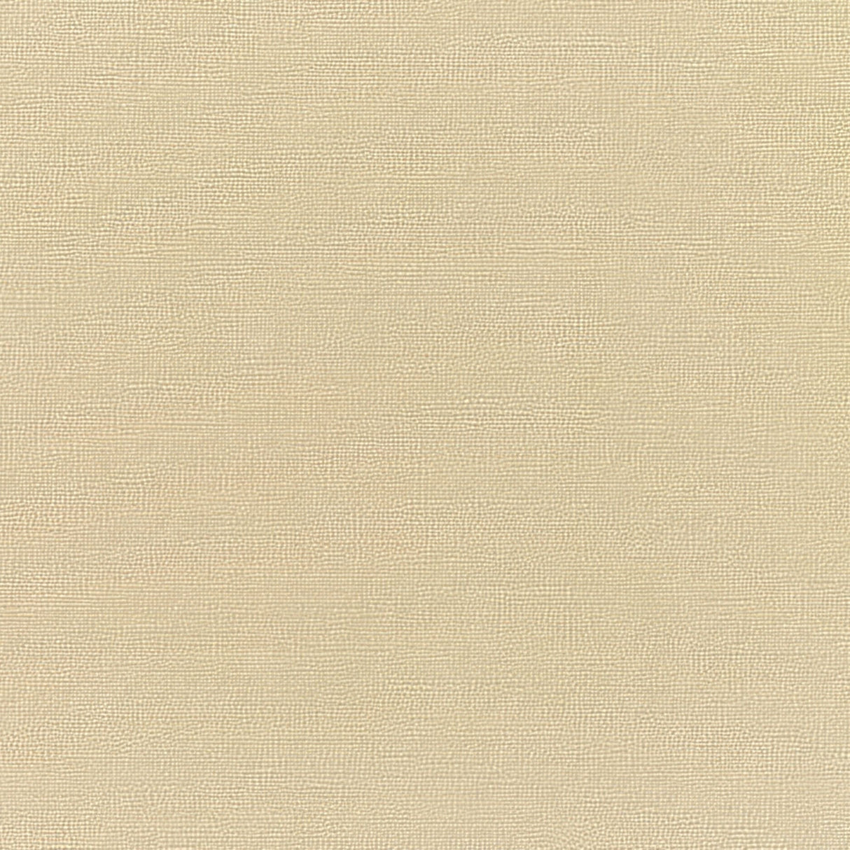 Sunbrella Canvas Antique Beige 5422 - 0000 Elements Collection Upholstery Fabric