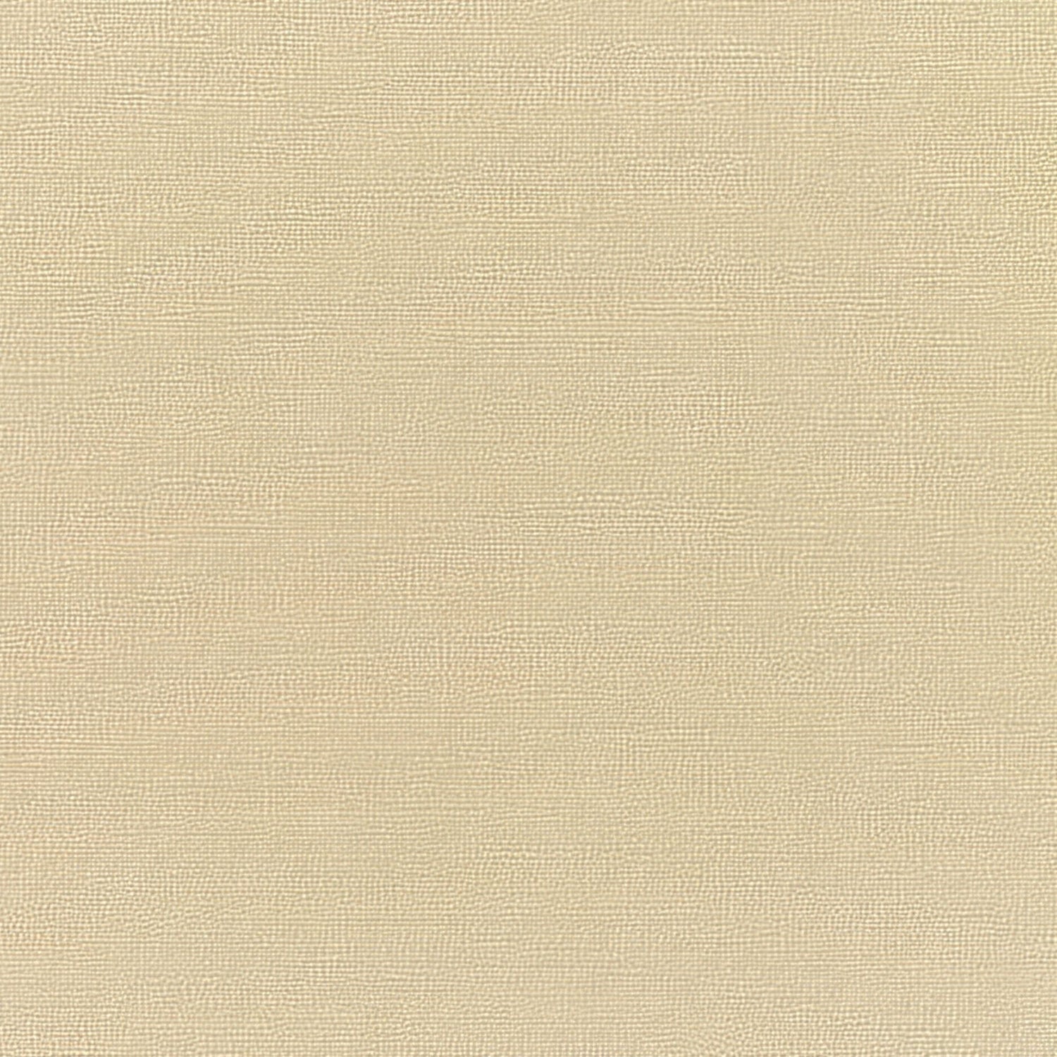 Sunbrella Canvas Antique Beige 5422 - 0000 Elements Collection Upholstery Fabric