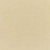 Sunbrella Canvas Antique Beige 5422 - 0000 Elements Collection Upholstery Fabric