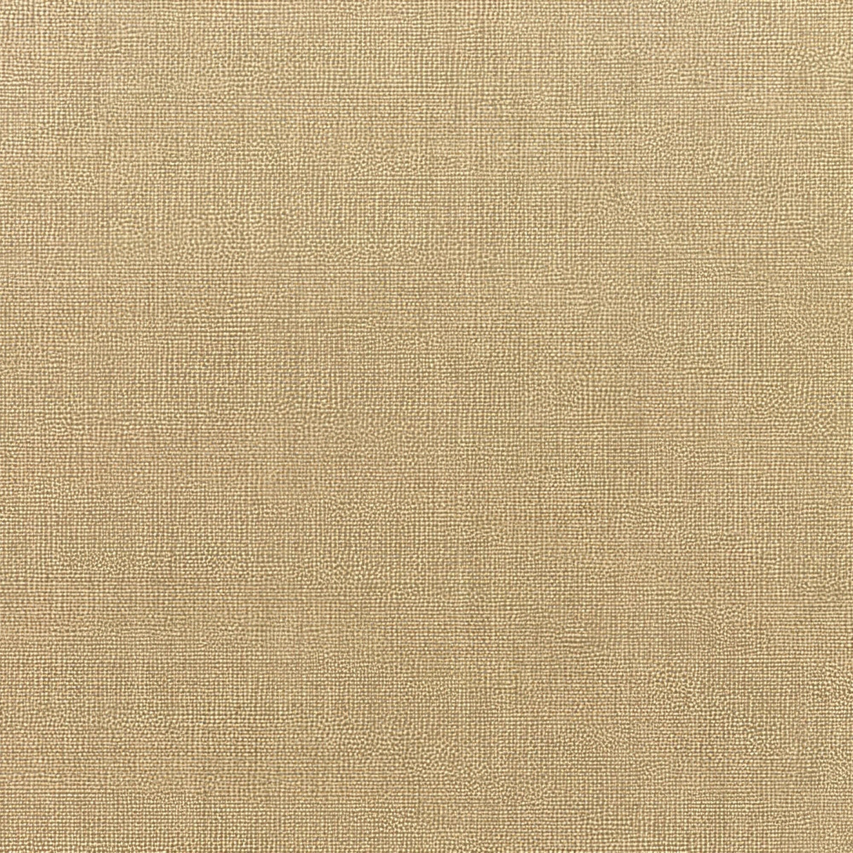 Sunbrella Canvas Heather Beige 5476 - 0000 Elements Collection Upholstery Fabric