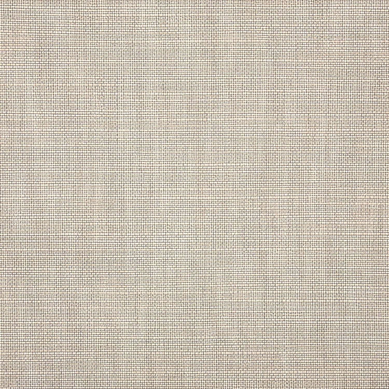 Sunbrella Echo Ash 57005 - 0000 Elements Collection Upholstery Fabric