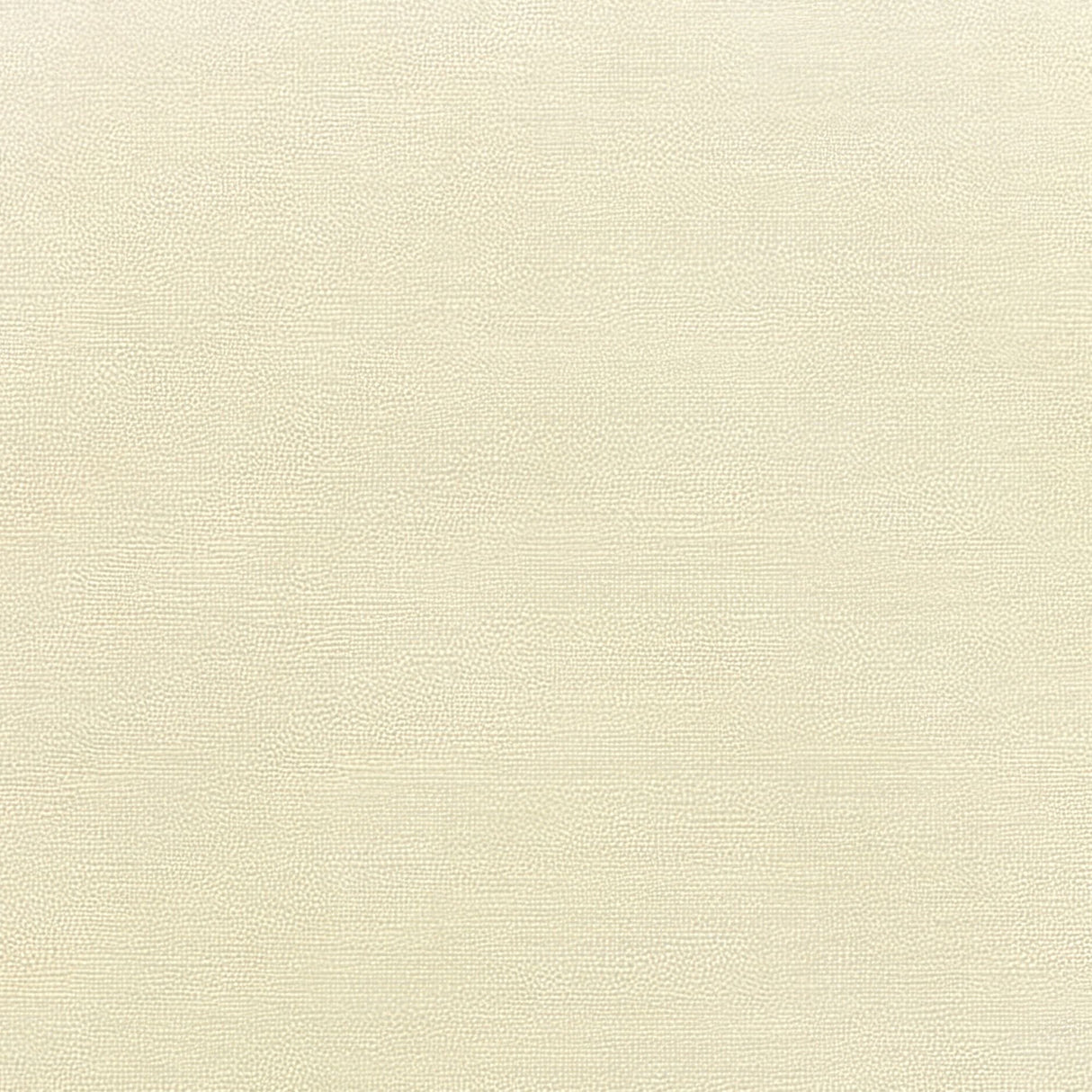 Sunbrella Canvas Canvas 5453 - 0000 Elements Collection Upholstery Fabric