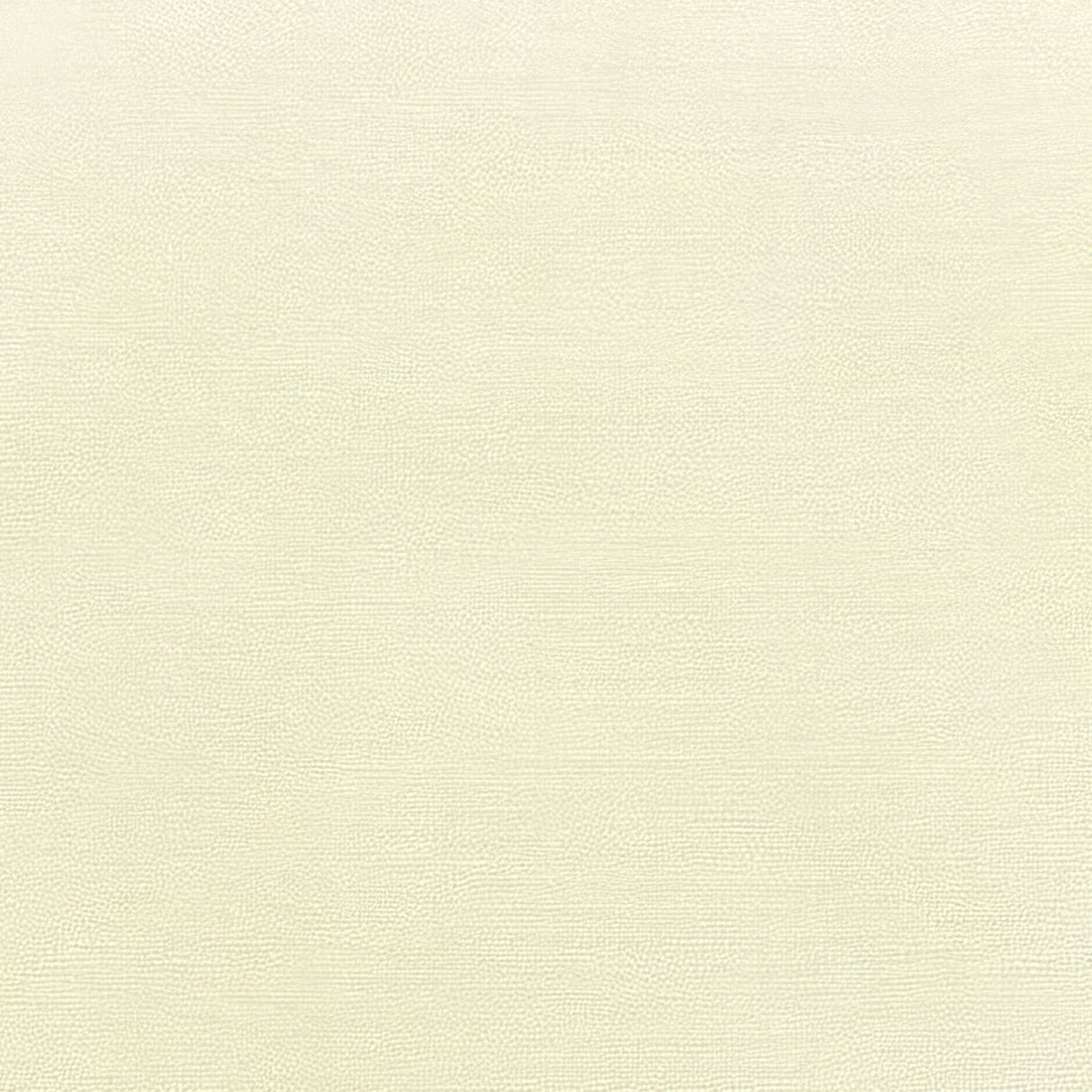 Sunbrella Canvas Natural 5404 - 0000 Elements Collection Upholstery Fabric