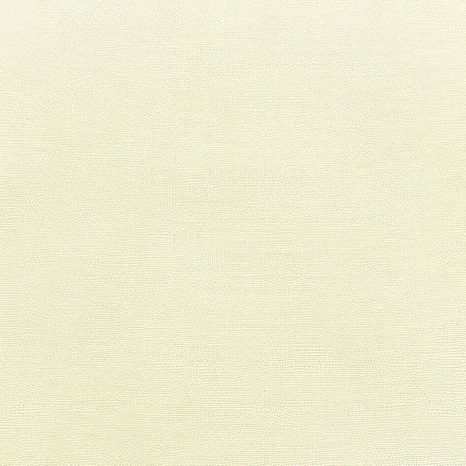 Sunbrella Canvas Natural 5404 - 0000 Elements Collection Upholstery Fabric