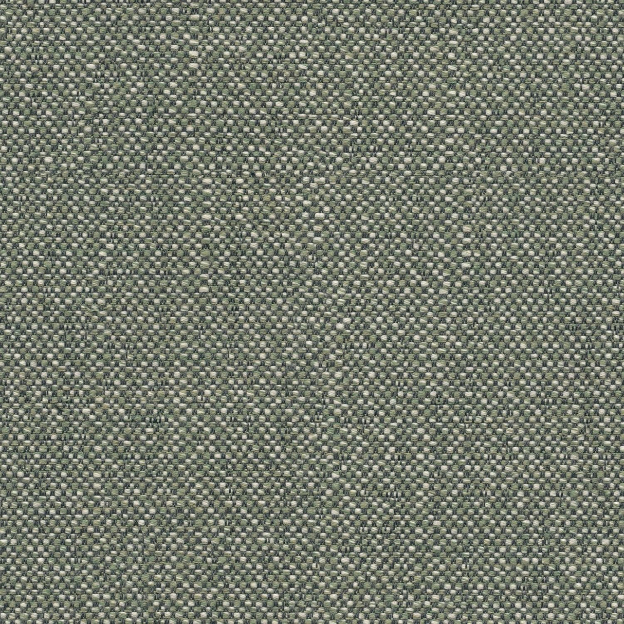Sunbrella Savane Swamp SAV3 J449 140 European Collection Upholstery Fabric