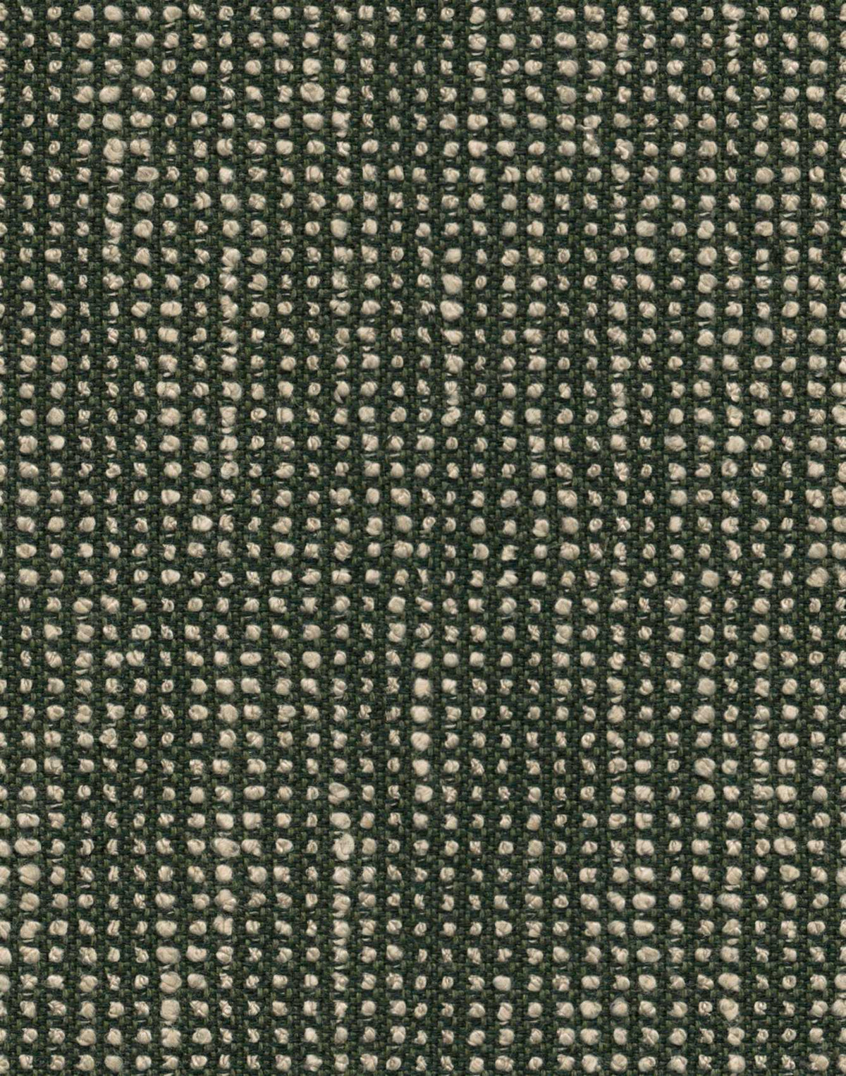 Sunbrella Slow Fern SLO 19106 140 European Collection Upholstery Fabric