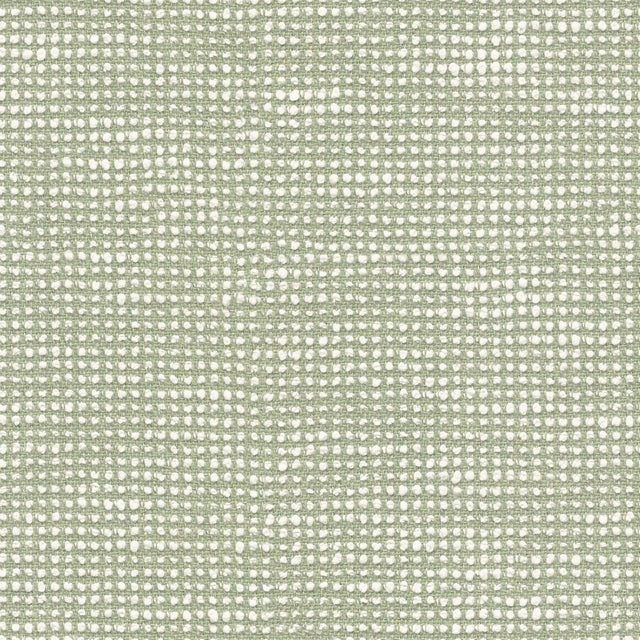 Sunbrella Slow Spirea SLO 19107 140 European Collection Upholstery Fabric