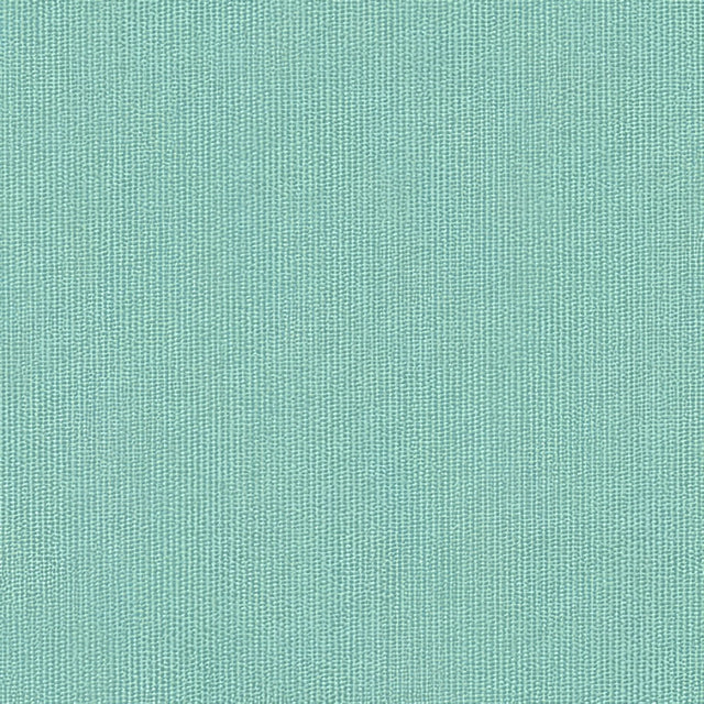Sunbrella Spectrum Mist 48020 - 0000 Elements Collection Upholstery Fabric