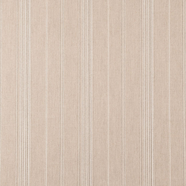 Sunbrella Toro Wren 44502 - 0003 Upholstery Fabric