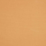 Sunforger Marine Finish Boat Shrunk 1198 Suntan 35-inch Tarp / Tent Fabric