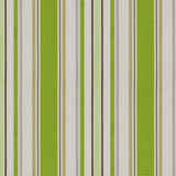 Tempotest Home Acapella Spring 51694/20 Foundations Collection Upholstery Fabric 