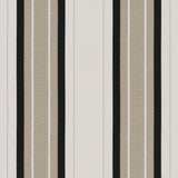 Tempotest Home Bistro Granite 5435/24 Foundations Collection Upholstery Fabric 