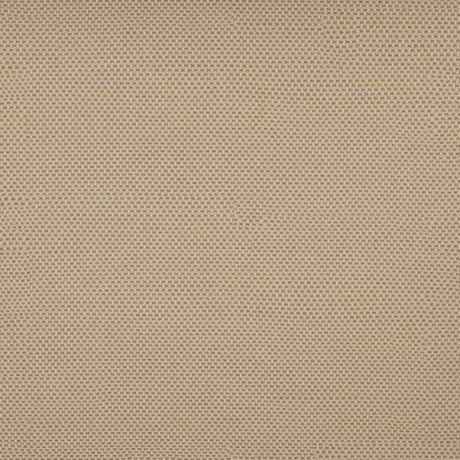 Tempotest Home Caravaggio Toast 51608/41 Pillars Collection Upholstery Fabric