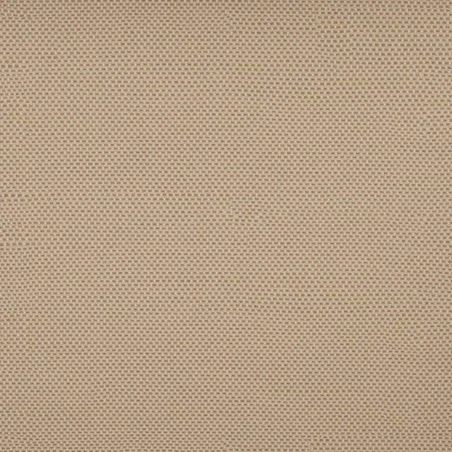 Tempotest Home Caravaggio Toast 51608/41 Pillars Collection Upholstery Fabric