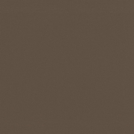 Tempotest Home Classic Driftwood 926 Foundations Collection Upholstery Fabric 