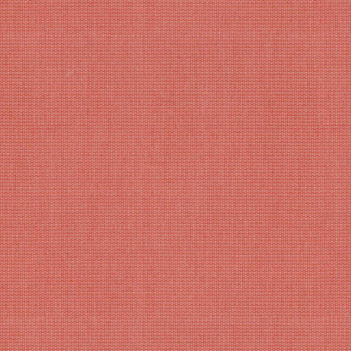 Tempotest Home Comrade Coral 5432/20 Foundations Collection Upholstery Fabric 