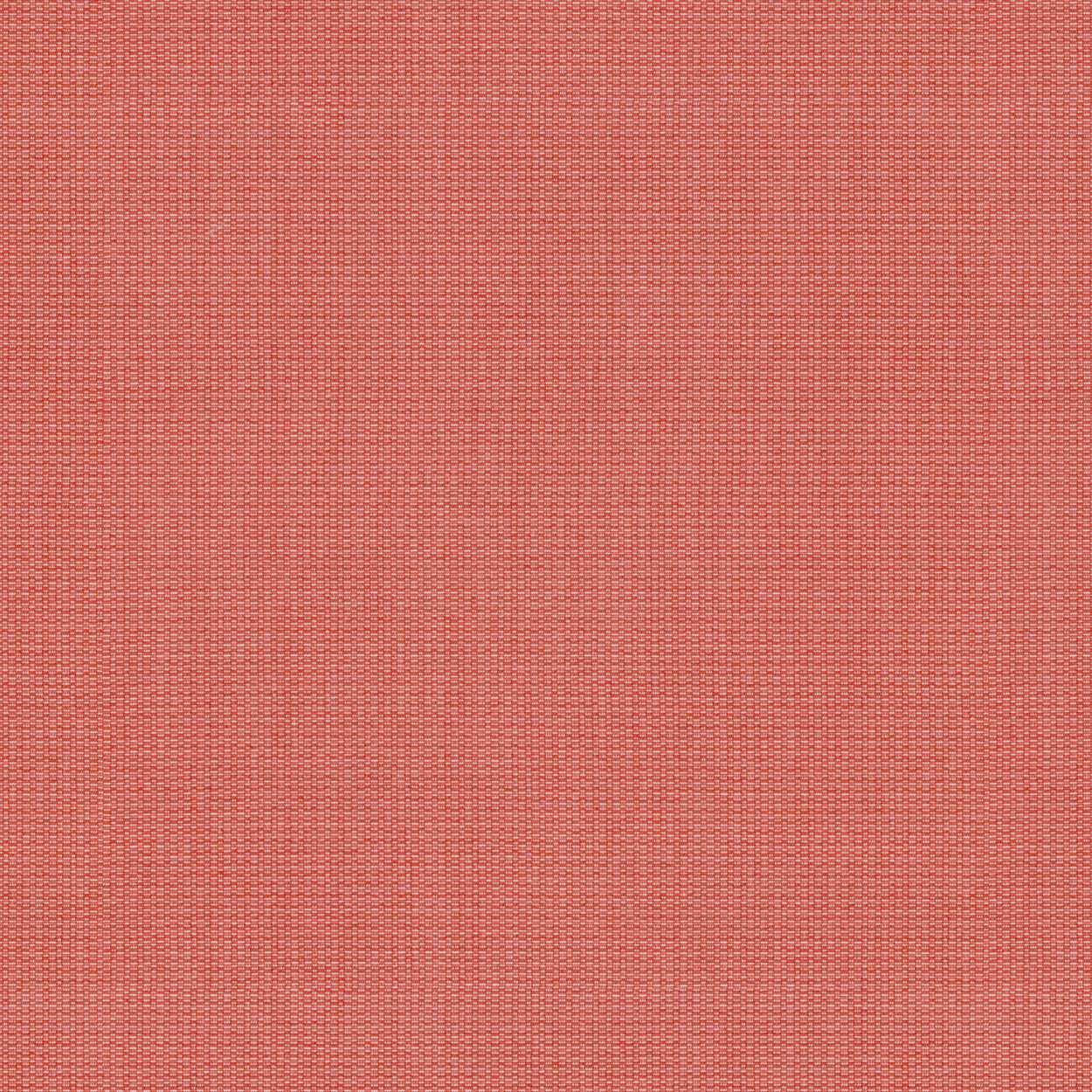 Tempotest Home Comrade Coral 5432/20 Foundations Collection Upholstery Fabric 