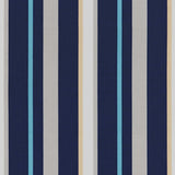 Tempotest Home Fiera Sapphire 5413/75 Foundations Collection Upholstery Fabric 