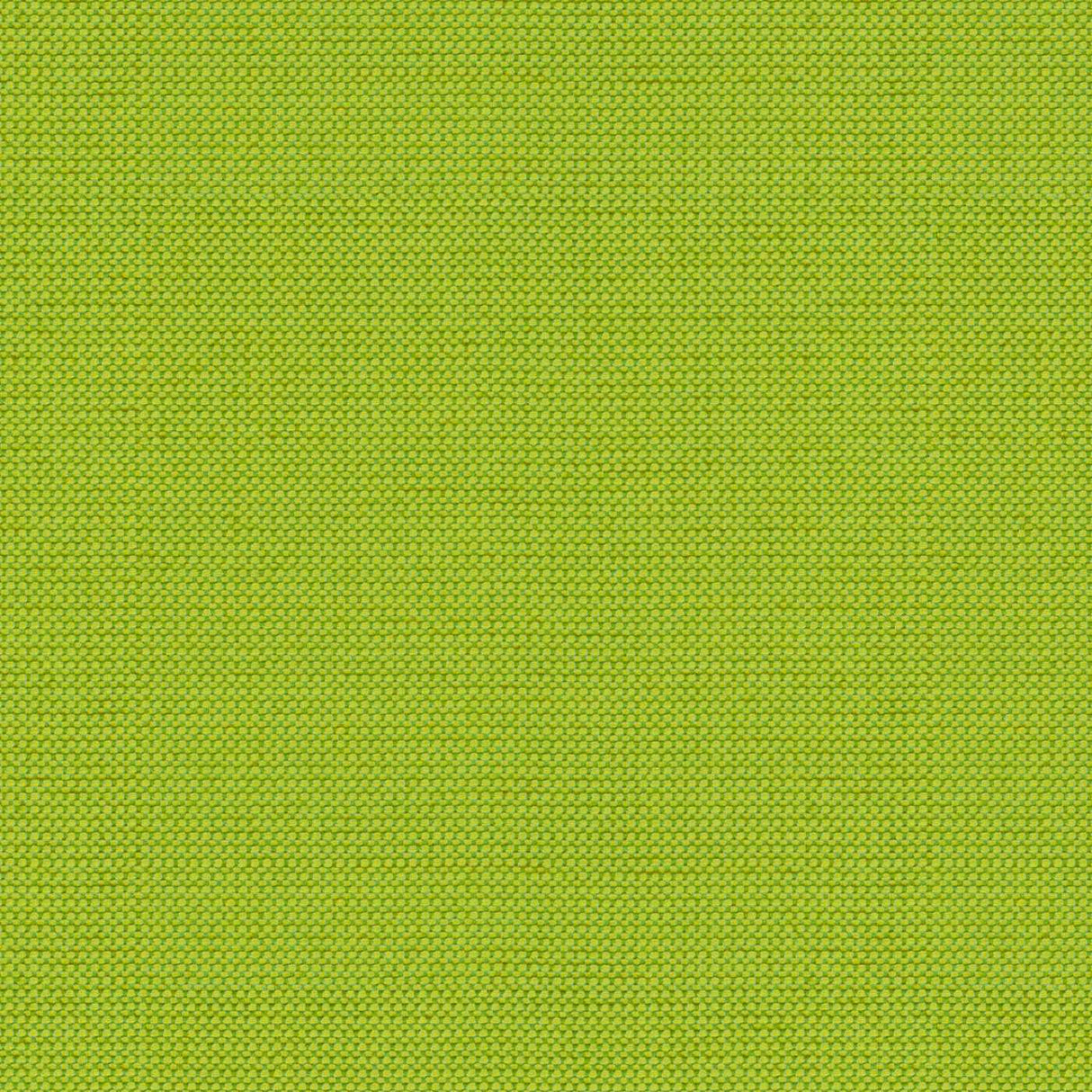Tempotest Home Michelangelo Lime 50964/4 Foundations Collection Upholstery Fabric 