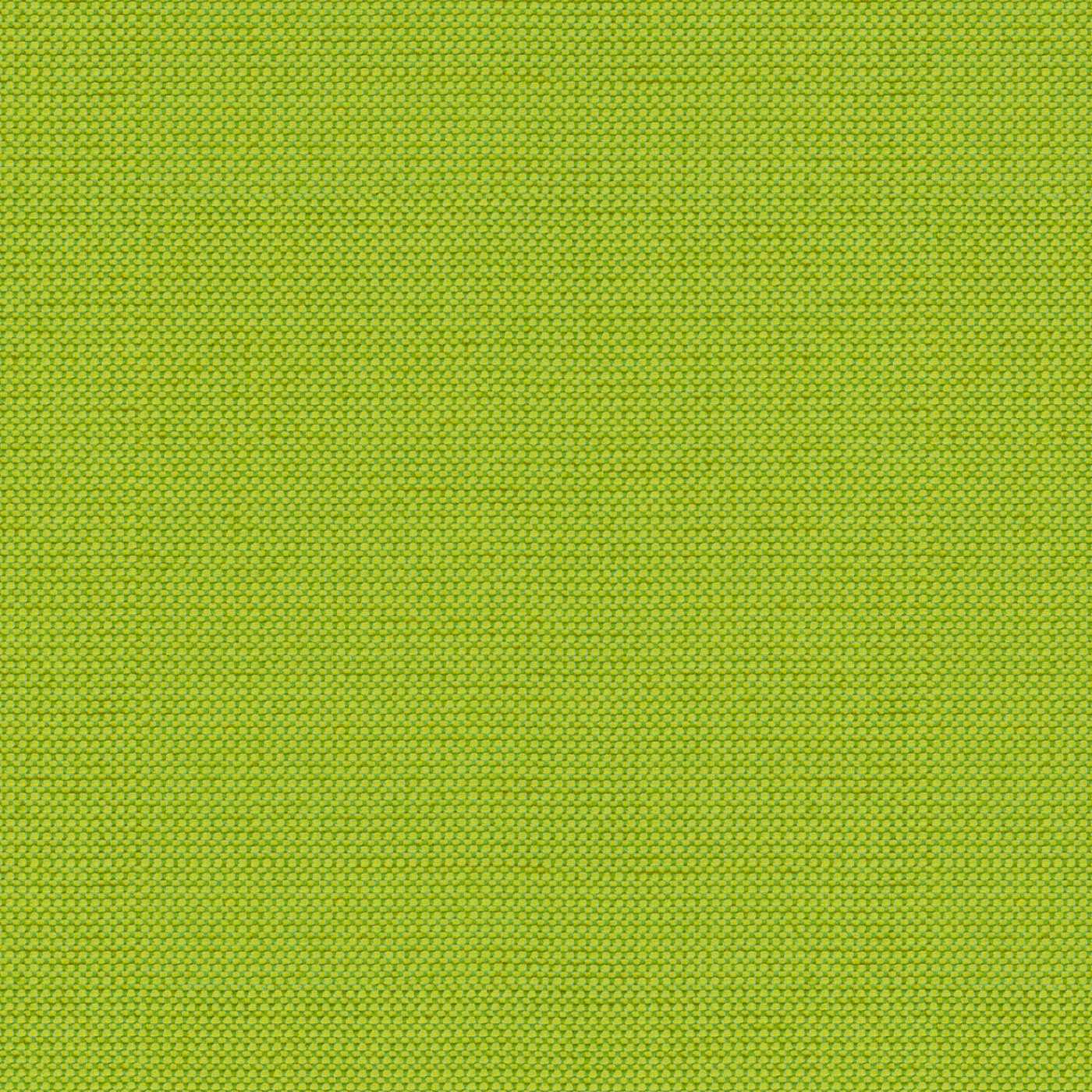 Tempotest Home Michelangelo Lime 50964/4 Foundations Collection Upholstery Fabric 