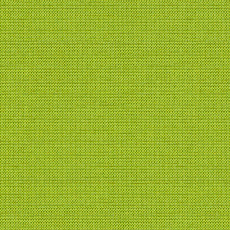 Tempotest Home Michelangelo Lime 50964/4 Foundations Collection Upholstery Fabric 