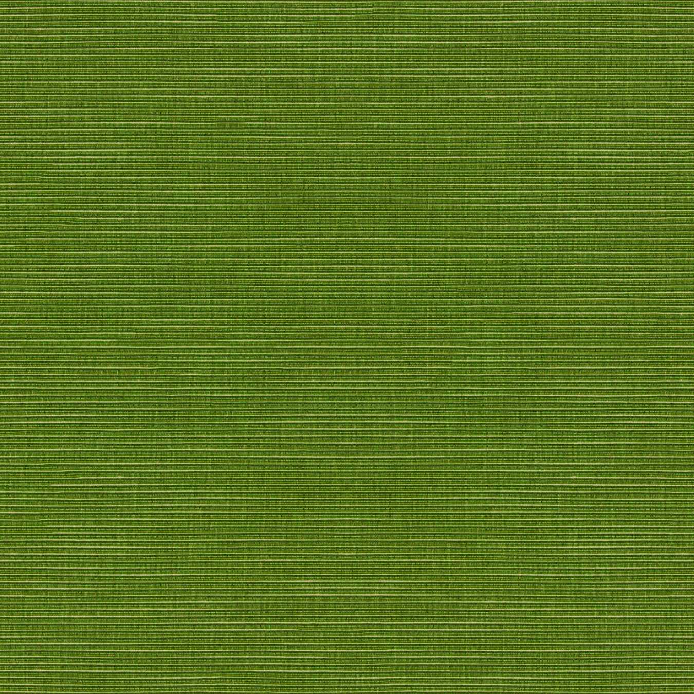 Tempotest Home Ottomano Lime 1276/520 Foundations Collection Upholstery Fabric 