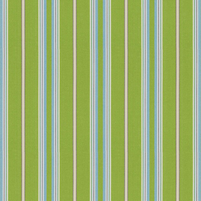 Tempotest Home Presidio Kiwi 5414/16 Foundations Collection Upholstery Fabric 