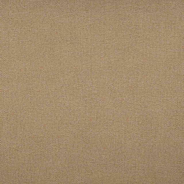 Tempotest Home Raffaello Mocha 50965/9 Foundations Collection Upholstery Fabric