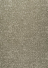 Thibaut Fawn Hickory W78349 Sierra Collection Upholstery Fabric