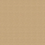 Top Gun FR Lite 719-LT Tan 62-Inch Fire Retardant Marine Topping and Enclosure Fabric