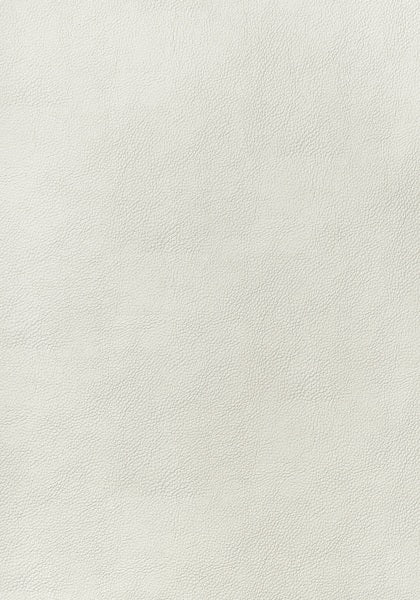 Thibaut Arcata Ivory W78381 Sierra Collection Upholstery Fabric